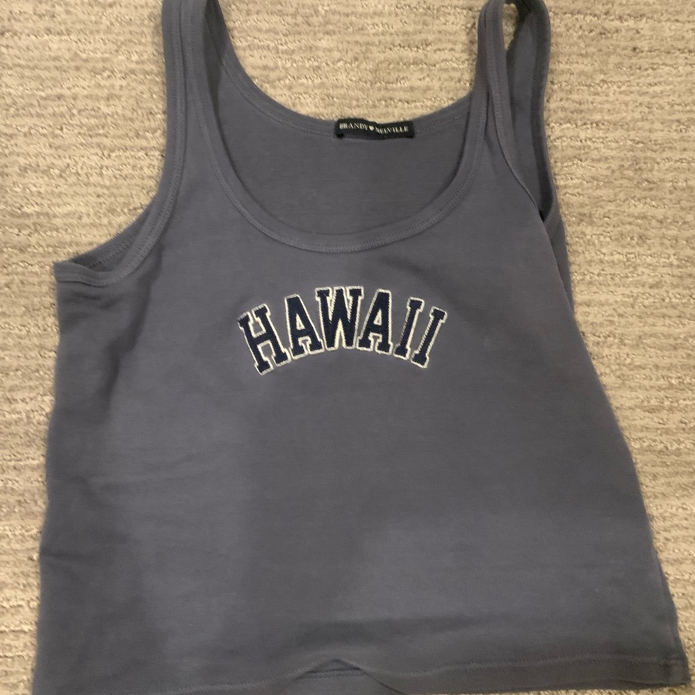 Blue Hawaii brandy Melville tank top